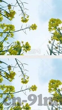 97伦理免费线-97伦理免费线，网络伦理的边界与探索