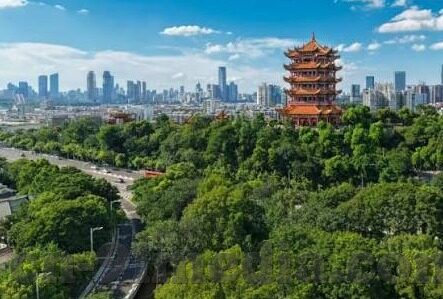 成人在线手机版视频欧美成人在线播放-成人在线手机版视频，欧美成人在线播放的探索与思考