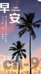 麻豆app免费账号-探寻真实与虚假，麻豆APP免费账号的背后世界