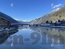 麻豆传媒标志-麻豆传媒标志背后的故事与诠释