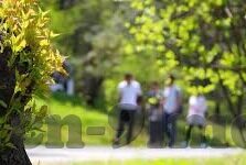麻豆传媒网站入口-揭开互联网迷雾，深入了解麻豆传媒网站的真相