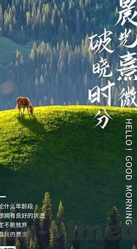 麻豆星空传媒-麻豆星空传媒，点亮创意与艺术的璀璨夜空