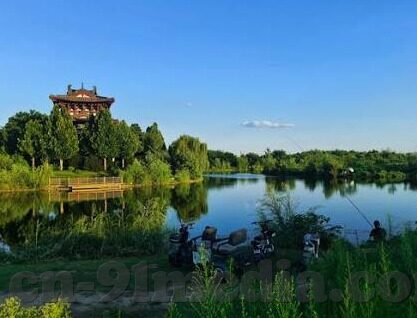 污大象视频-污大象视频，网络文化的灰色地带与影响
