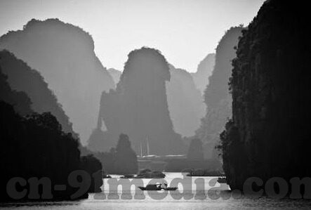 无需播放器的成人免费视频-消费新趋势，便捷即时的无播放器视频体验