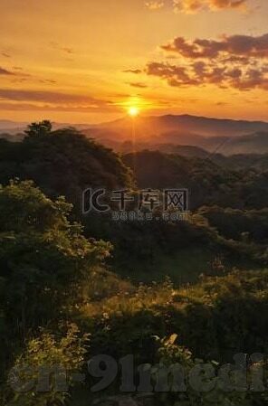 最大的成人免费视频-成人世界的一扇窗，探索成人免费视频的多元视角